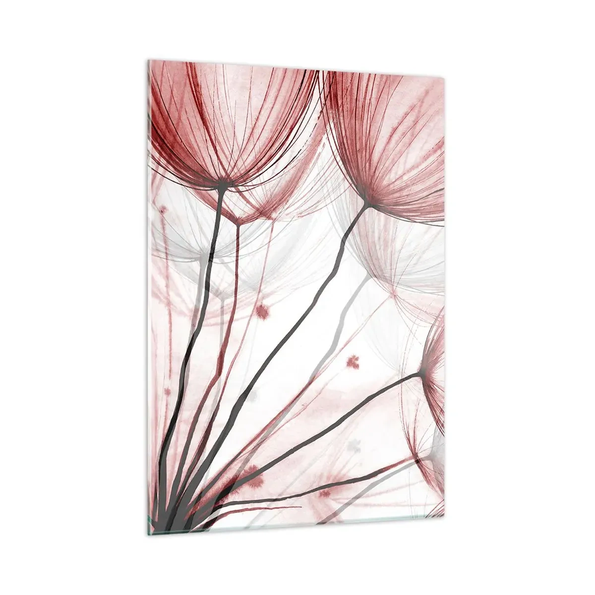 Cuadro sobre vidrio - Impresiones sobre Vidrio - Dientes de león sutiles en tonos rosa y negro. - 50x70cm - Antes de partir - Decoración de pared moderna para salón y dormitorio ARTTOR