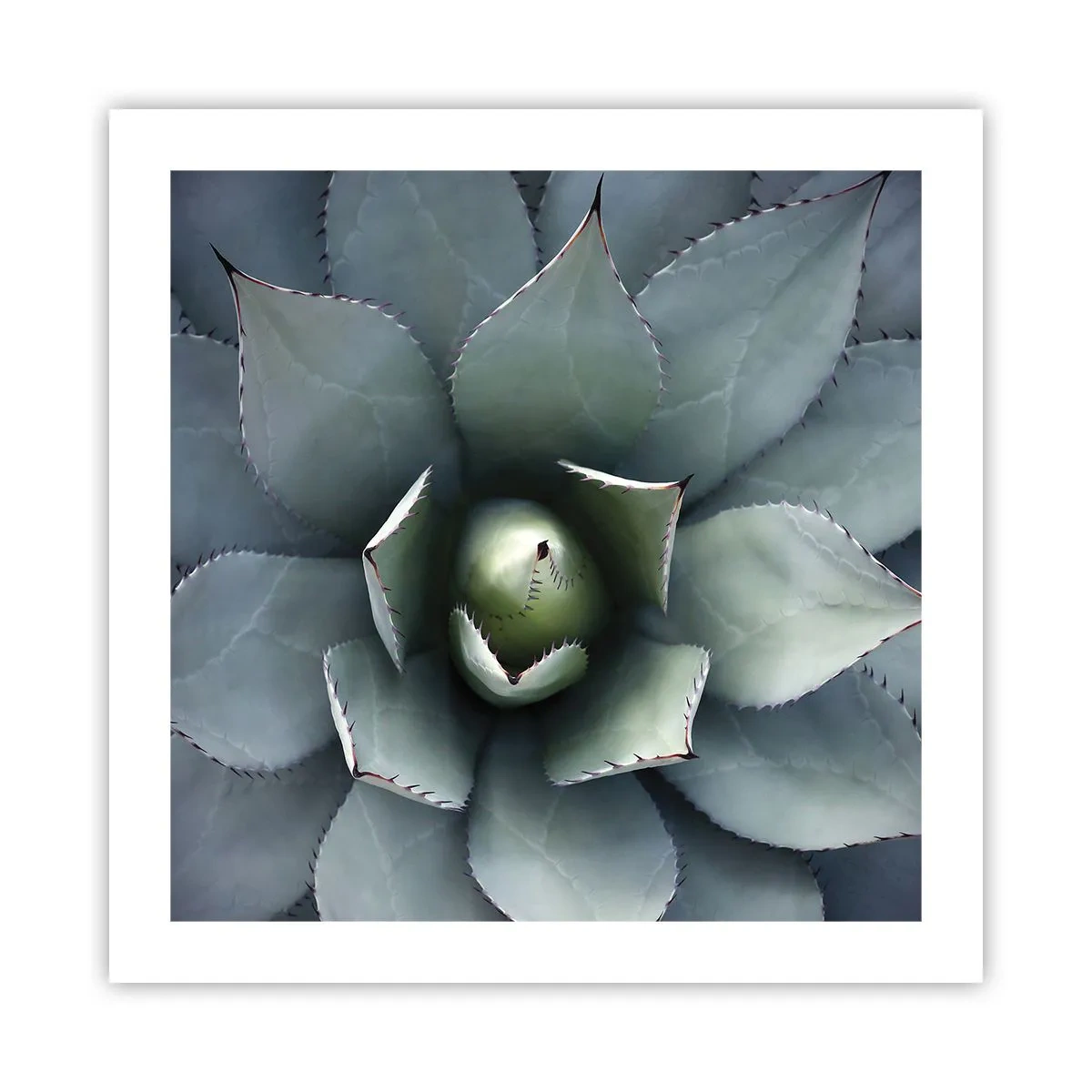 Póster - Perfección natural - 50x50 cm