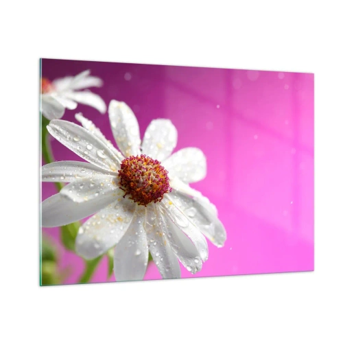 Cuadro sobre vidrio - Impresiones sobre Vidrio - Fotografía macro de una flor blanca con gotas de rocío sobre un fondo rosa. - 100x70cm - Modesto en su belleza - Decoración de pared moderna para salón y dormitorio ARTTOR