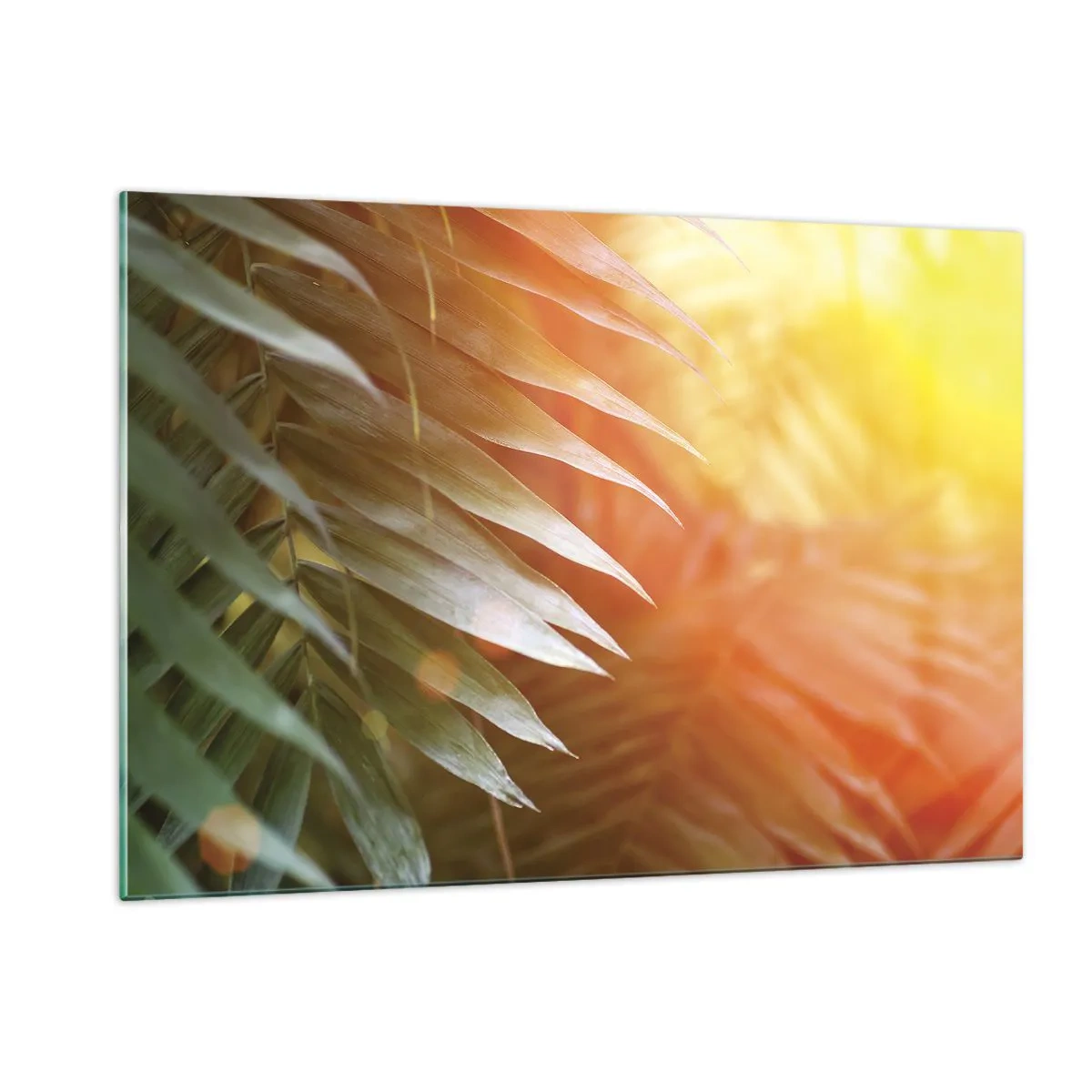 Cuadro sobre vidrio - Impresiones sobre Vidrio - Hojas de palmera bajo el resplandor del sol de la mañana en un entorno tropical. - 120x80cm - Mañana en la selva - Decoración de pared moderna para salón y dormitorio ARTTOR