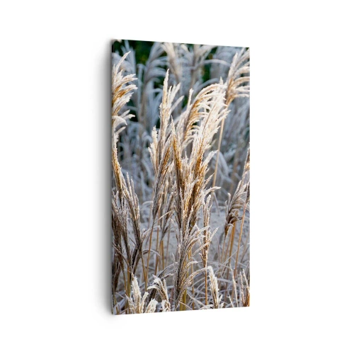 Cuadro sobre lienzo - Impresión de Imagen - Campos y campos - 45x80 cm