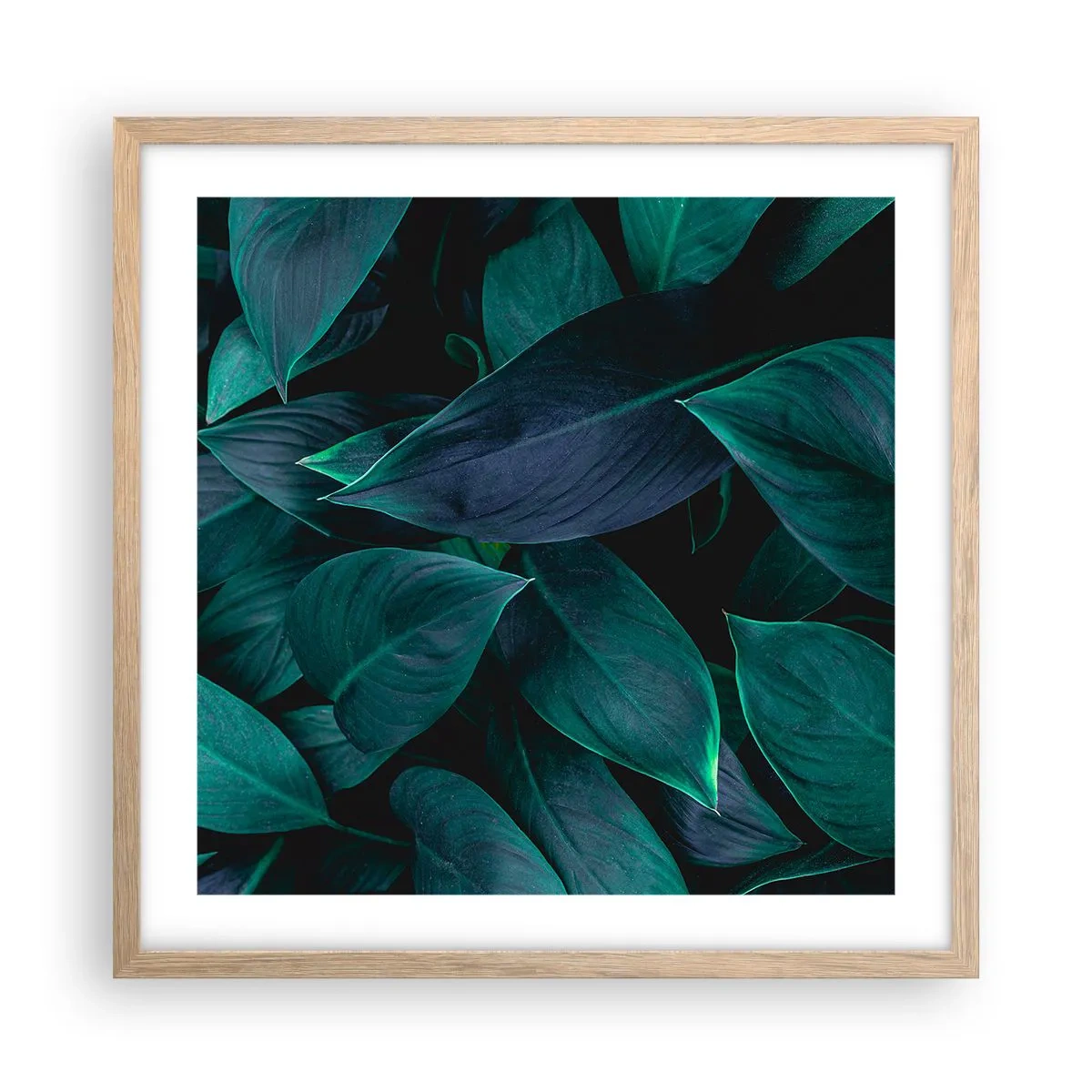 Póster en marco roble claro - El propio verde - 50x50 cm