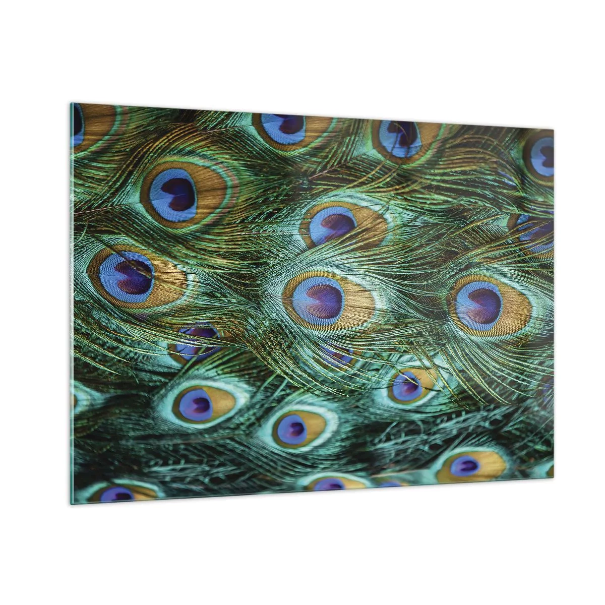 Cuadro sobre vidrio - Impresiones sobre Vidrio - Detalle de plumas de pavo real con ojos distintivos. - 100x70cm - Mirada de pavo real - Decoración de pared moderna para salón y dormitorio ARTTOR