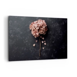 Cuadro sobre lienzo - Impresión de Imagen - Una delicada flor de hortensia sobre un fondo oscuro. - 120x80cm - Un signo verdaderamente romántico - Decoración de pared moderna para salón y dormitorio ARTTOR