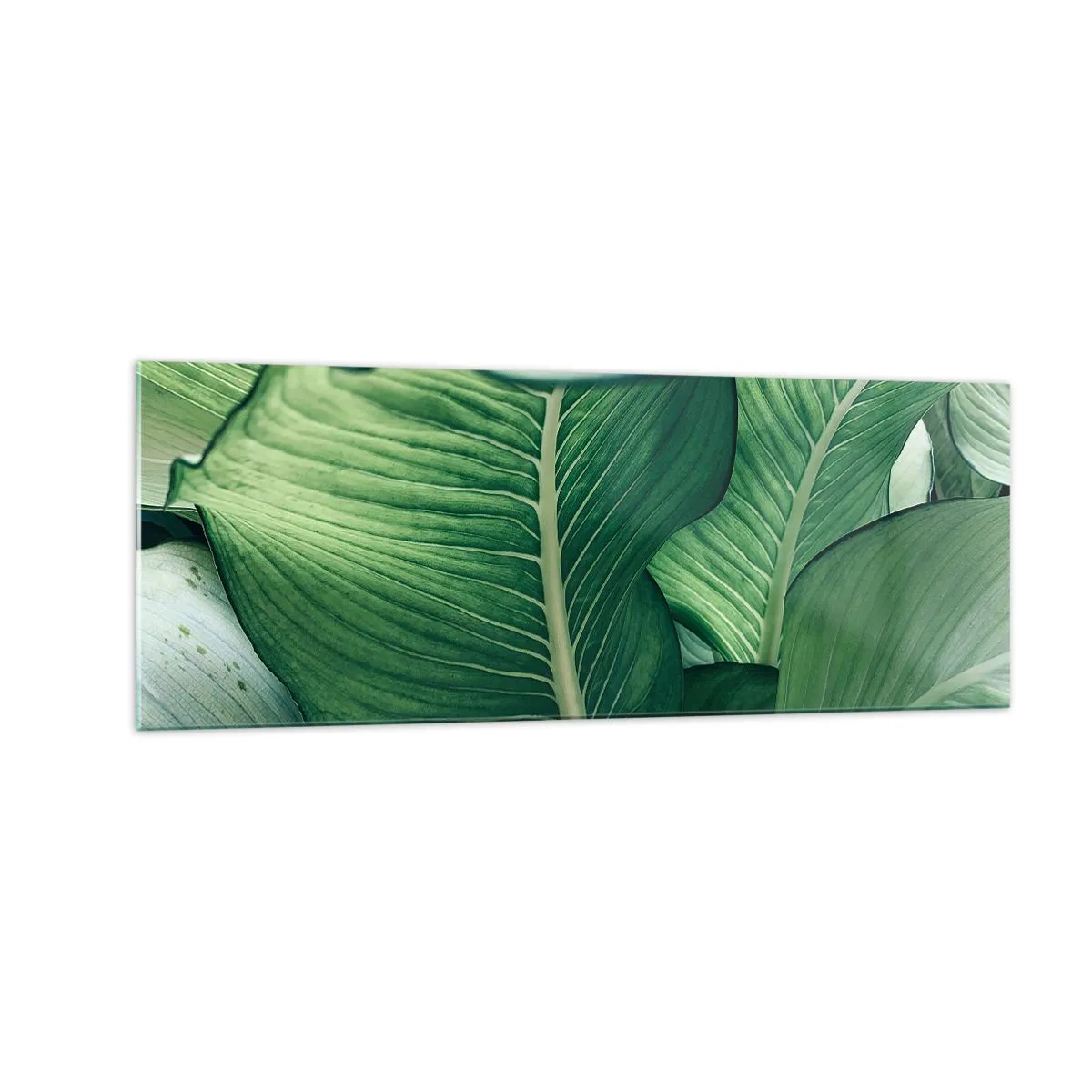 Cuadro sobre vidrio - Impresiones sobre Vidrio - Hojas verdes con detalles expresivos y estructura. - 140x50cm - Vida intensamente verde - Decoración de pared moderna para salón y dormitorio ARTTOR