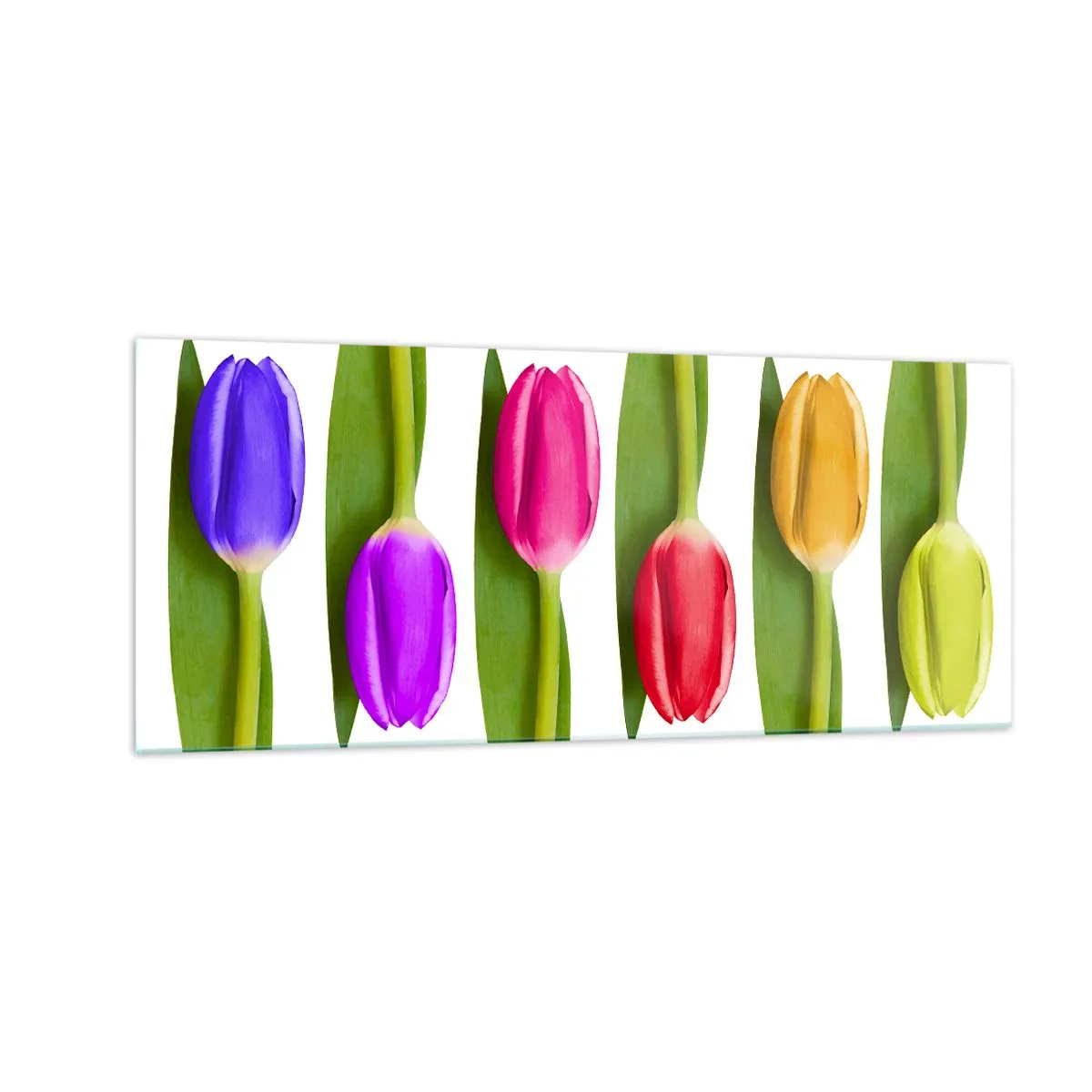 Cuadro sobre vidrio - Impresiones sobre Vidrio - Composición del arco iris - 100x40 cm