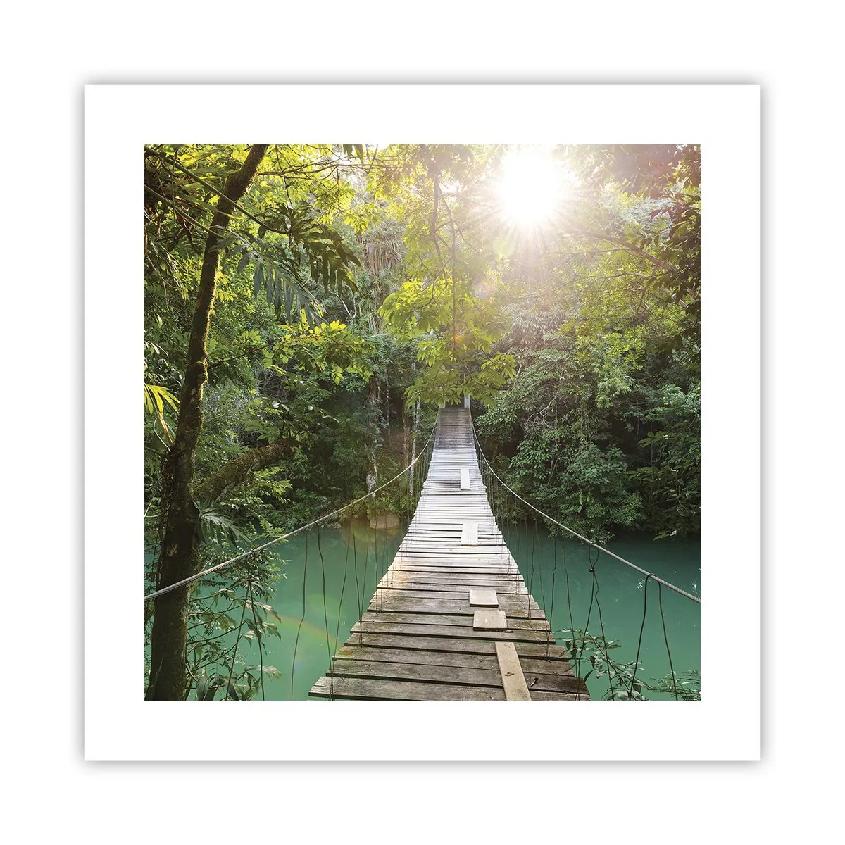 Póster - Sobre el agua azul hacia el bosque - 40x40 cm