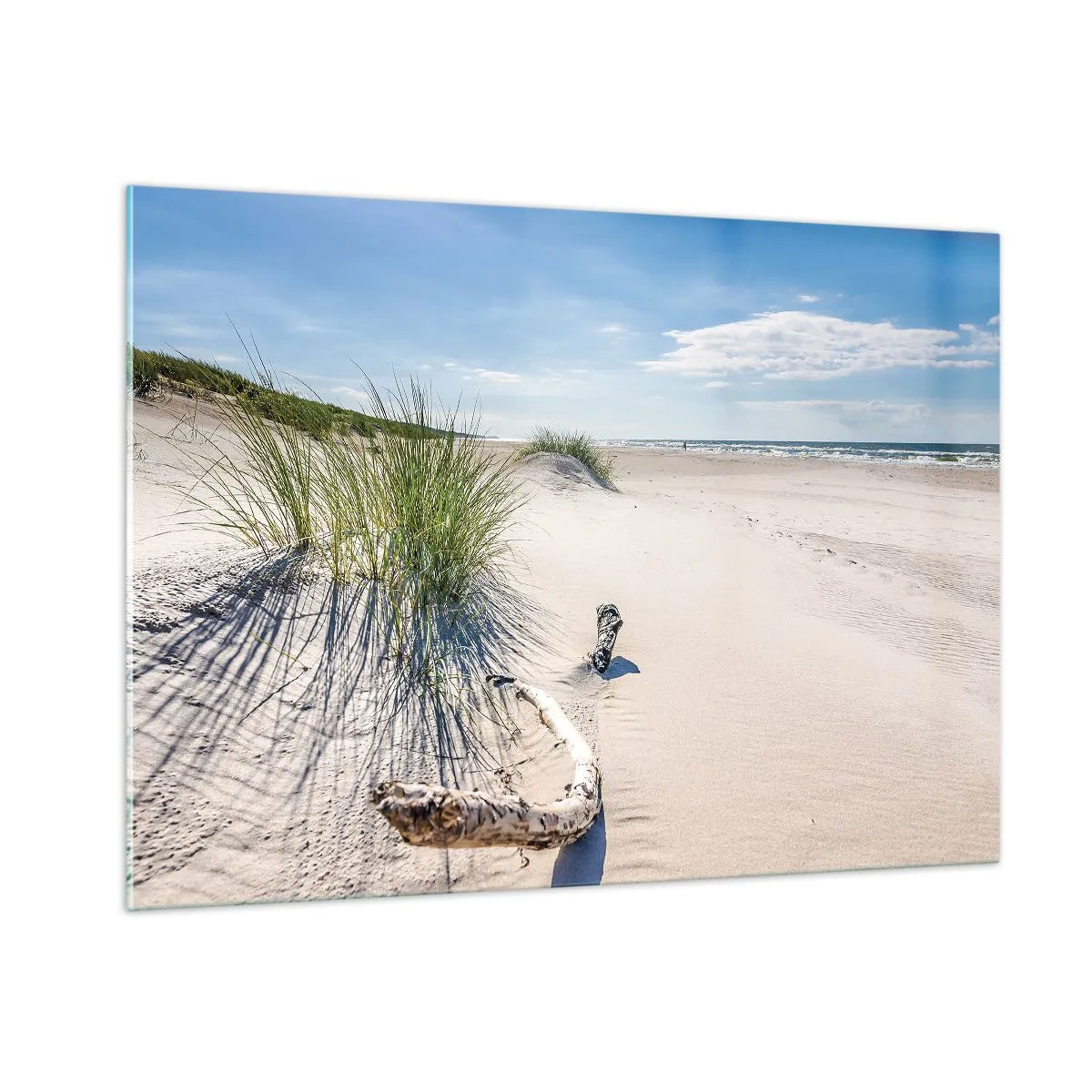 Cuadro sobre vidrio - Impresiones sobre Vidrio - Una playa soleada con dunas y posidonia. - 100x70cm - ¿La más bella? Báltico - Decoración de pared moderna para salón y dormitorio ARTTOR