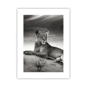 Póster - Descanso de la reina del desierto - 30x40 cm