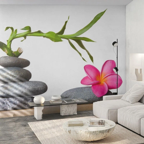 Fotomural Premium Canvas - Colores de la vida y duración - Flor, piedras, Spa - 350x256 cm