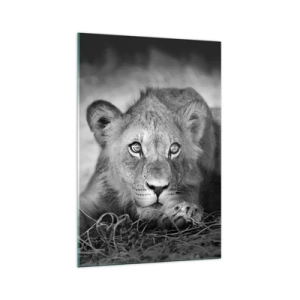 Cuadro sobre vidrio - Impresiones sobre Vidrio - Retrato monocromático de un león joven acostado - 70x100cm - Un cachorro real - Decoración de pared moderna para salón y dormitorio ARTTOR