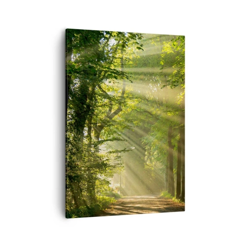 Cuadro sobre lienzo - Impresión de Imagen - Camino forestal con rayos de sol brillando a través de los árboles. - 50x70cm - Un momento en el bosque - Decoración de pared moderna para salón y dormitorio ARTTOR
