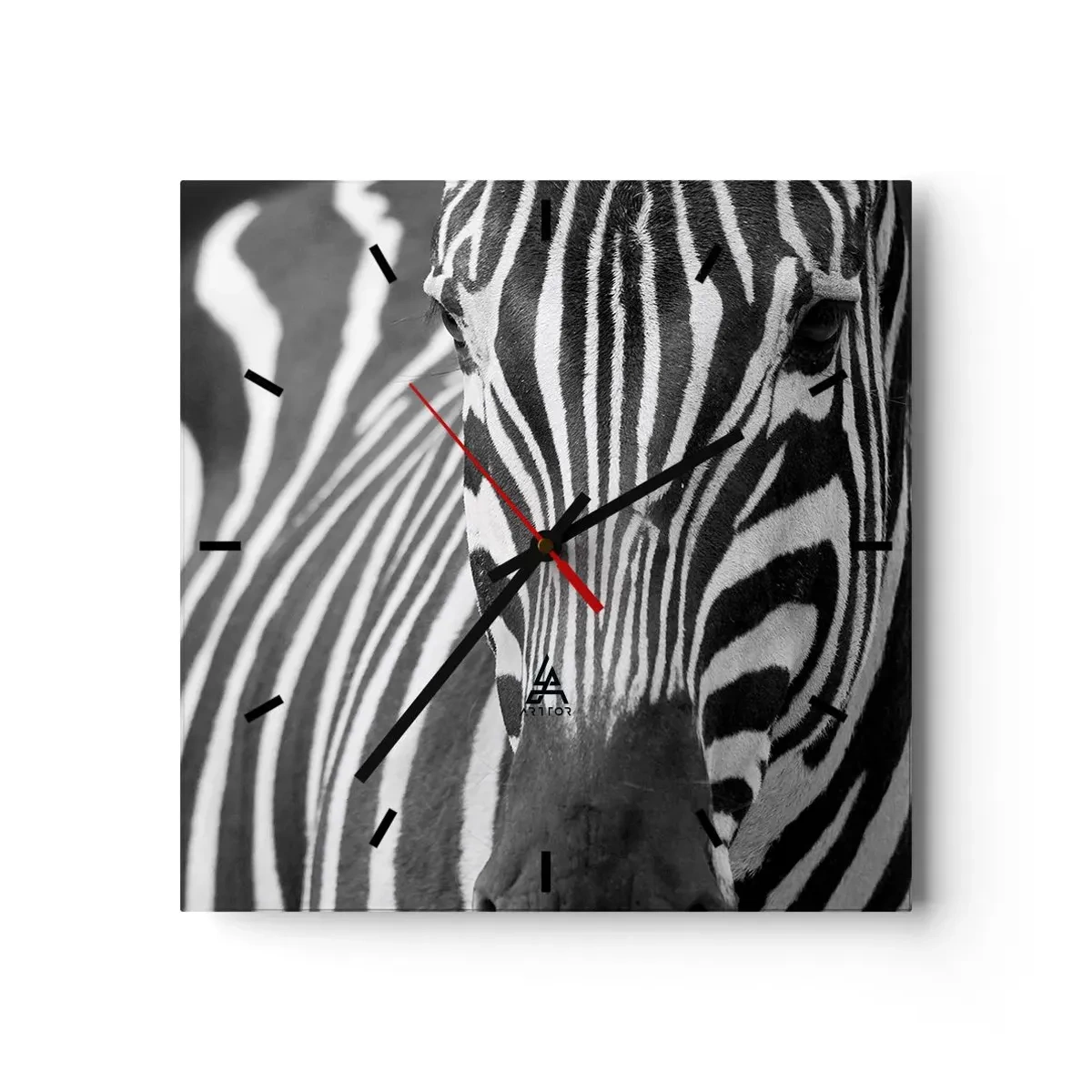 Reloj de pared - Reloj de vidrio - Un primer plano en blanco y negro de una cebra con sus distintivas rayas. - 30x30cm - El mundo es blanco y negro - Decoración de pared moderna para salón y dormitorio ARTTOR