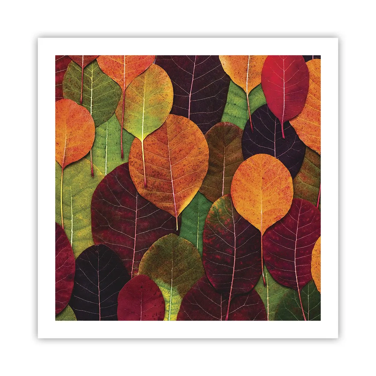 Póster - Mosaico de otoño - 60x60 cm