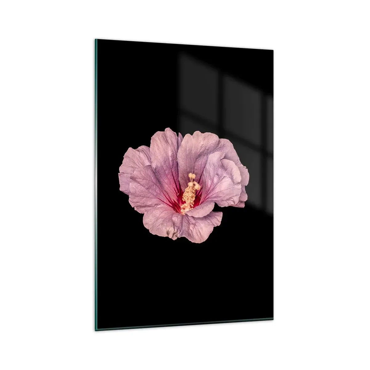 Cuadro sobre vidrio - Impresiones sobre Vidrio - Flor rosa sobre fondo negro - 80x120cm - Directo al corazón - Decoración de pared moderna para salón y dormitorio ARTTOR