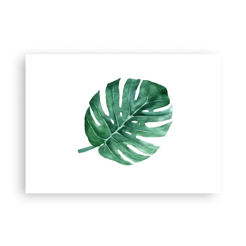 Póster - Concepto verde - 70x50 cm