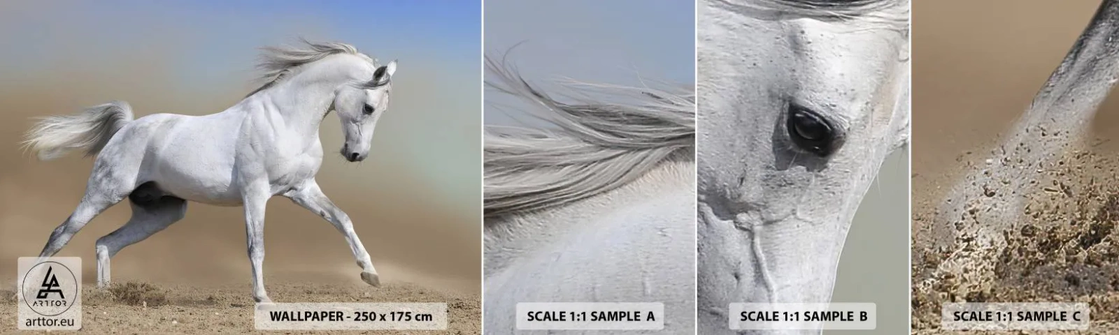Muestra De Fotomural Standard Eco - El más bello cuento de hadas árabe - Caballo, animales, Galope - 100x30 cm