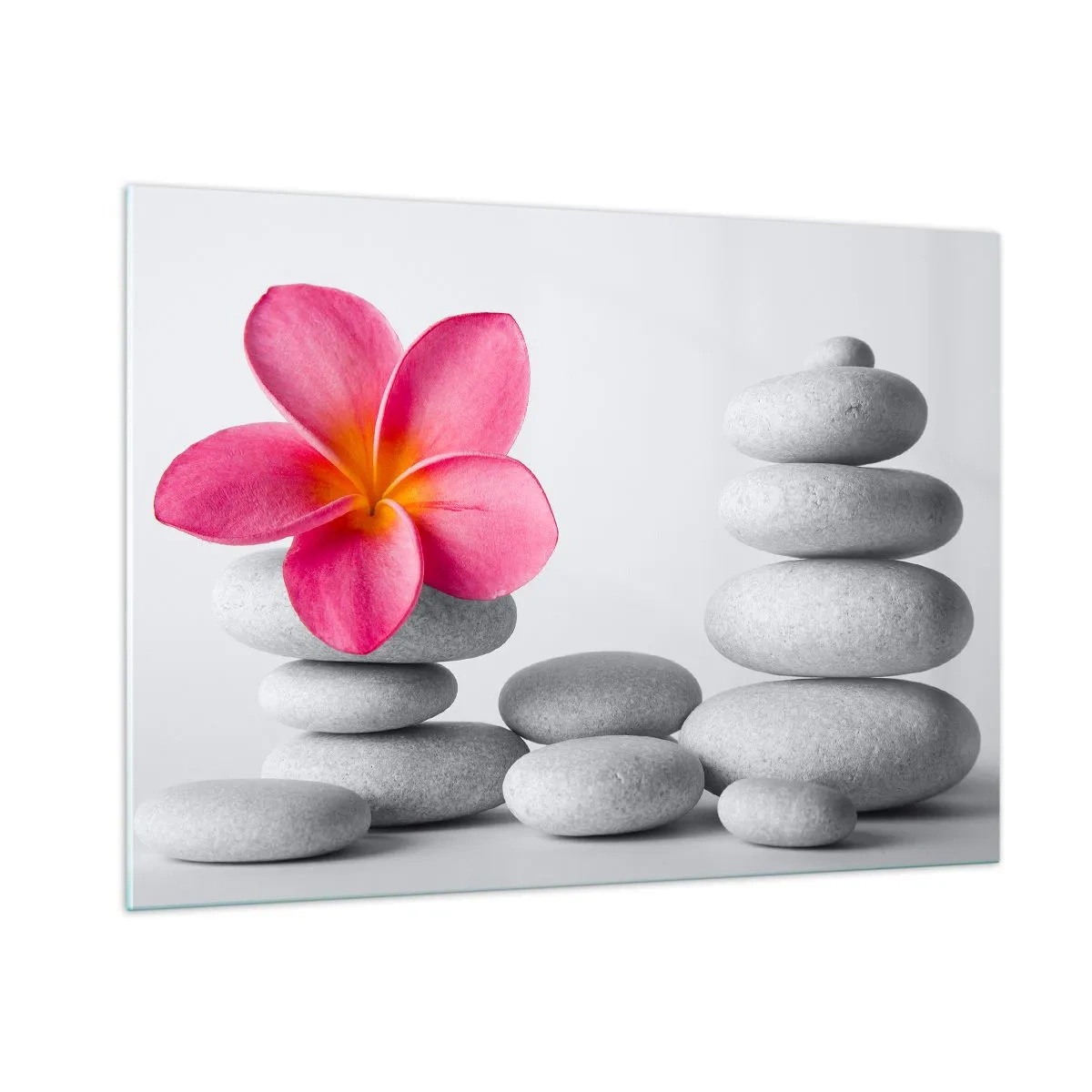 Cuadro sobre vidrio - Impresiones sobre Vidrio - Una flor rosa contra un montón de piedras blancas. - 100x70cm - Piedra sobre piedra, y sobre esta piedra.... - Decoración de pared moderna para salón y dormitorio ARTTOR