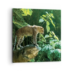 Cuadro sobre lienzo - Impresión de Imagen - ¿A la caza? - 70x70 cm
