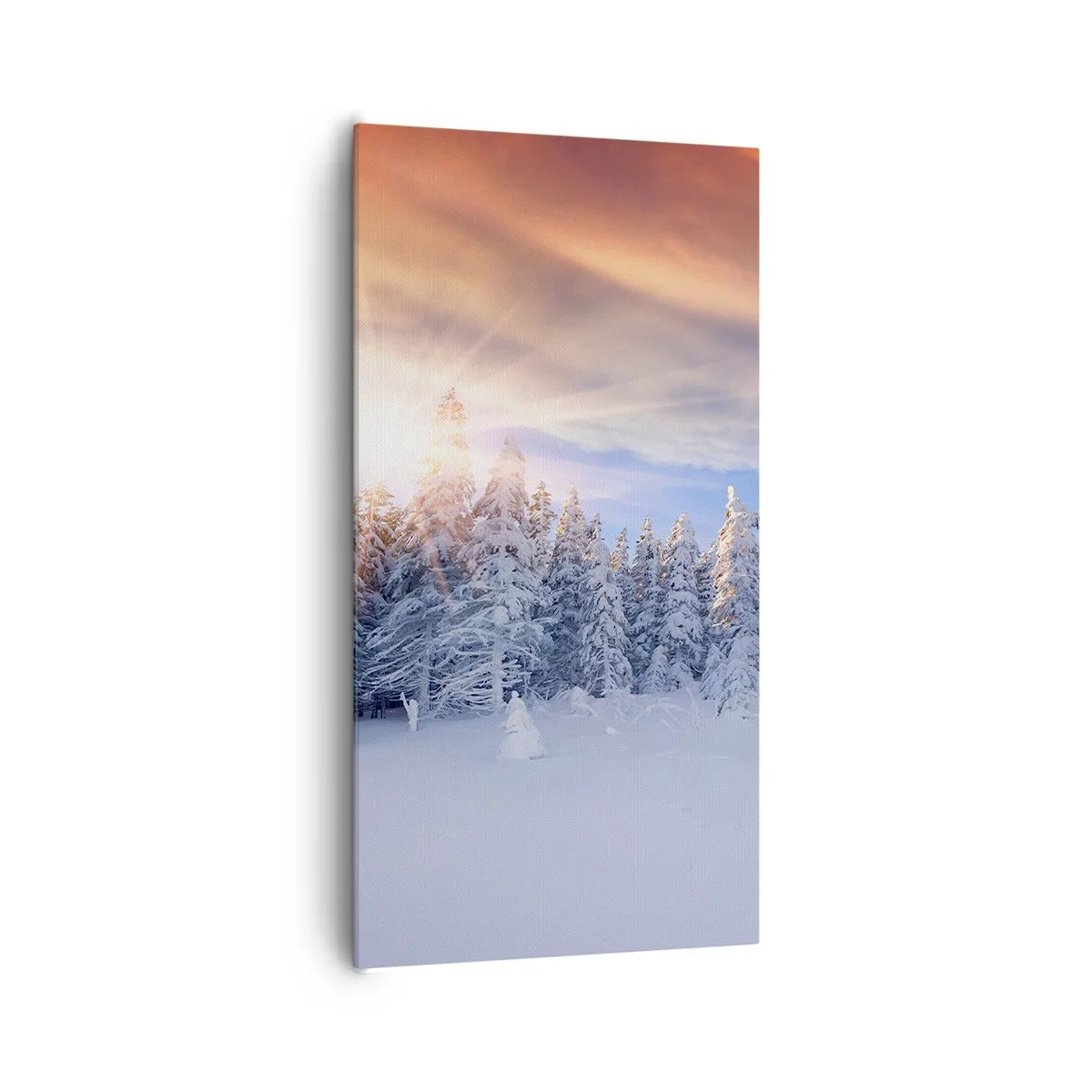Cuadro sobre lienzo - Impresión de Imagen - Un espectáculo de naturaleza nevada - 65x120 cm