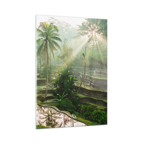 Cuadro sobre vidrio - Impresiones sobre Vidrio - Arrozales tropicales con palmeras en la niebla de la mañana - 50x70cm - Crecer bajo el sol - Decoración de pared moderna para salón y dormitorio ARTTOR