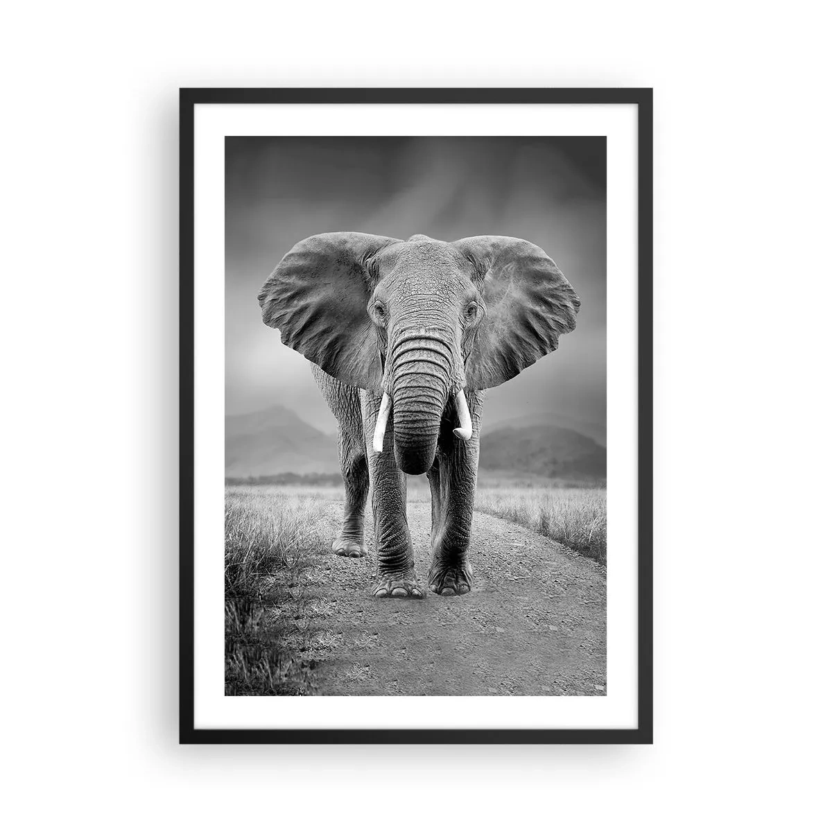 Póster en marco negro - Un elefante frente a un paisaje africano en blanco y negro. - 50x70cm - El anfitrión da la bienvenida - Decoración de pared moderna para salón y dormitorio ARTTOR