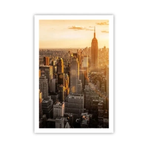 Póster - Creciendo al sol - 61x91 cm