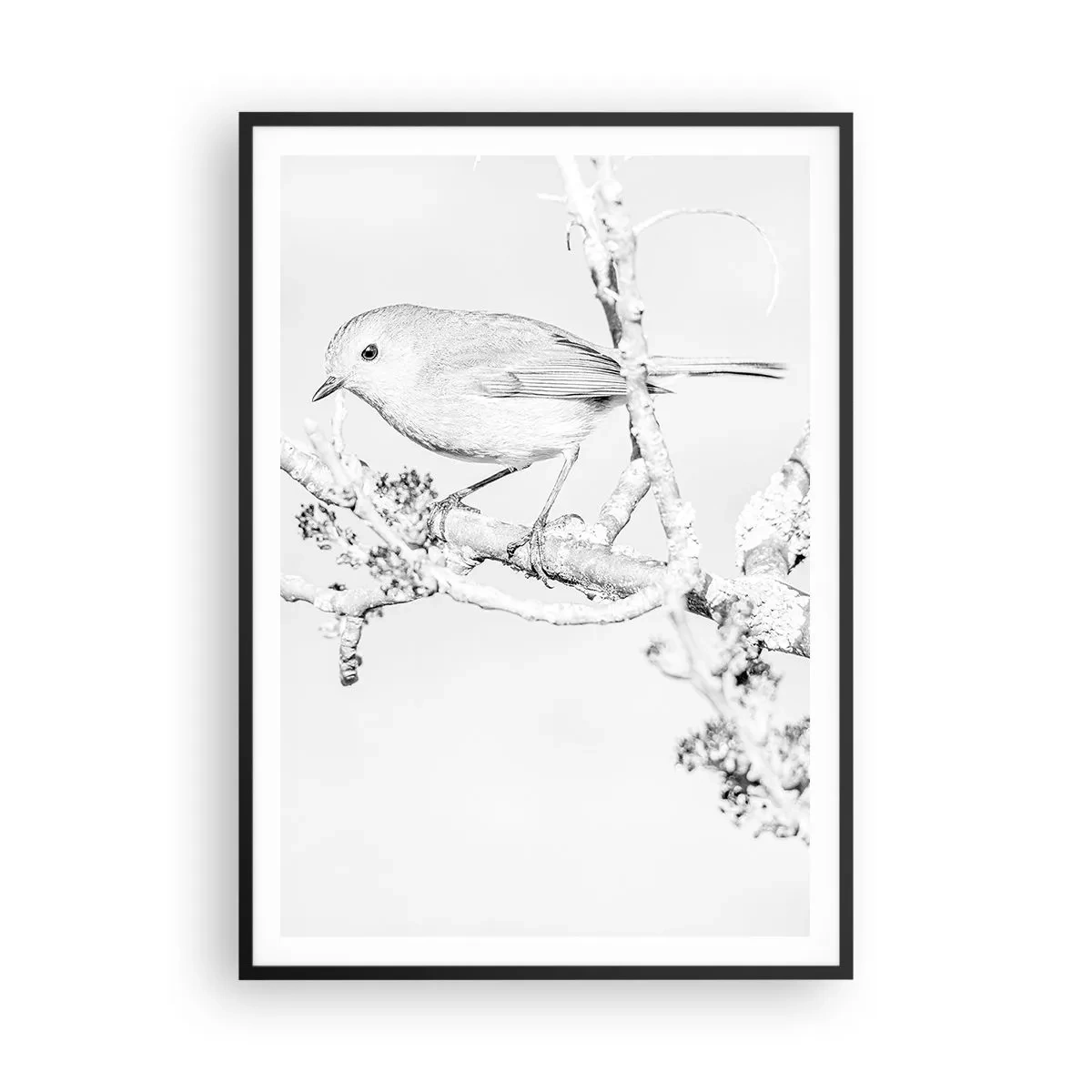 Póster en marco negro - Mañana de invierno - 70x100 cm