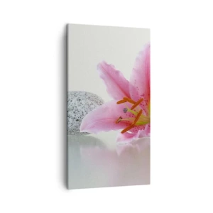 Cuadro sobre lienzo - Impresión de Imagen - Estudio en rosa, gris y blanco - 45x80 cm