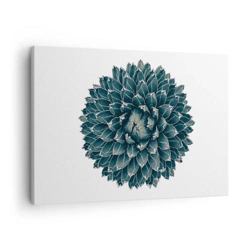 Cuadro sobre lienzo - Impresión de Imagen - Planta suculenta simétrica sobre un fondo blanco. - 70x50cm - Estrella del desierto - Decoración de pared moderna para salón y dormitorio ARTTOR