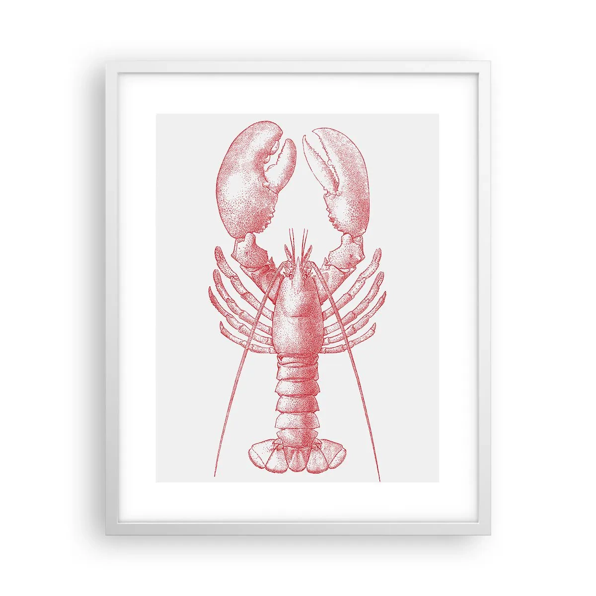 Póster en marco blanco - La reina de los fondos rocosos - 40x50 cm