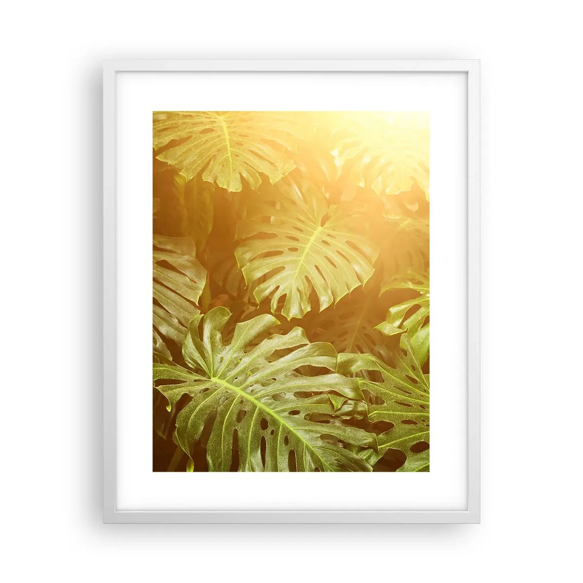 Póster en marco blanco - Hacia el verdor... - 40x50 cm