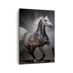 Cuadro sobre lienzo - Impresión de Imagen - Un caballo blanco galopando sobre un fondo oscuro. - 50x70cm - El gris es hermoso - Decoración de pared moderna para salón y dormitorio ARTTOR