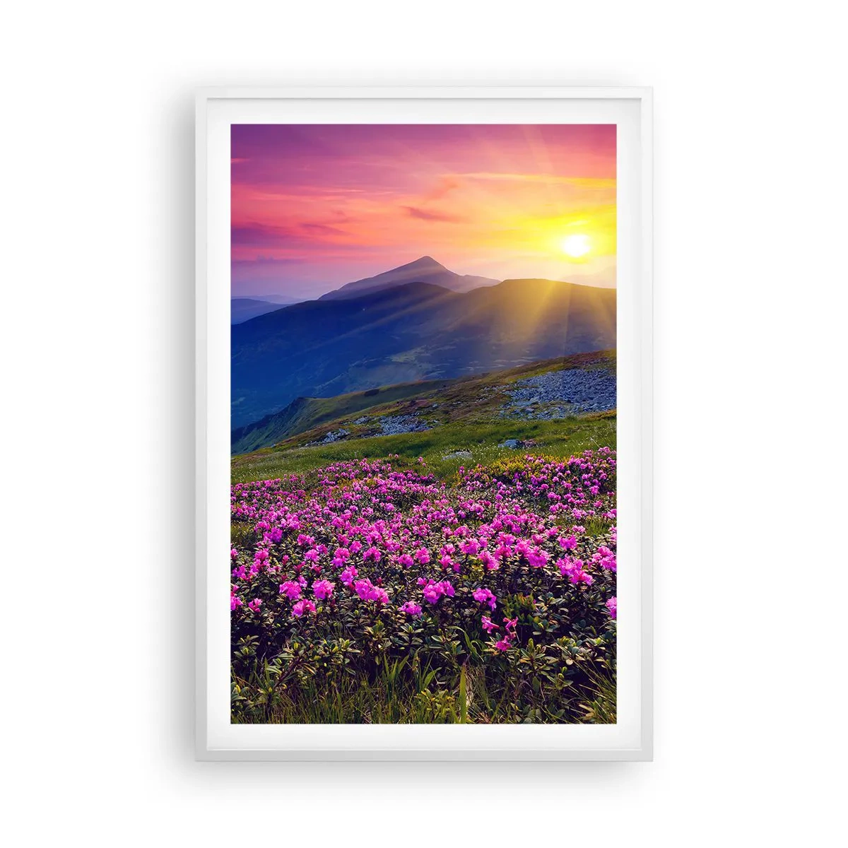 Póster en marco blanco - ... Y el aroma a hierbas está por todas partes - 61x91 cm