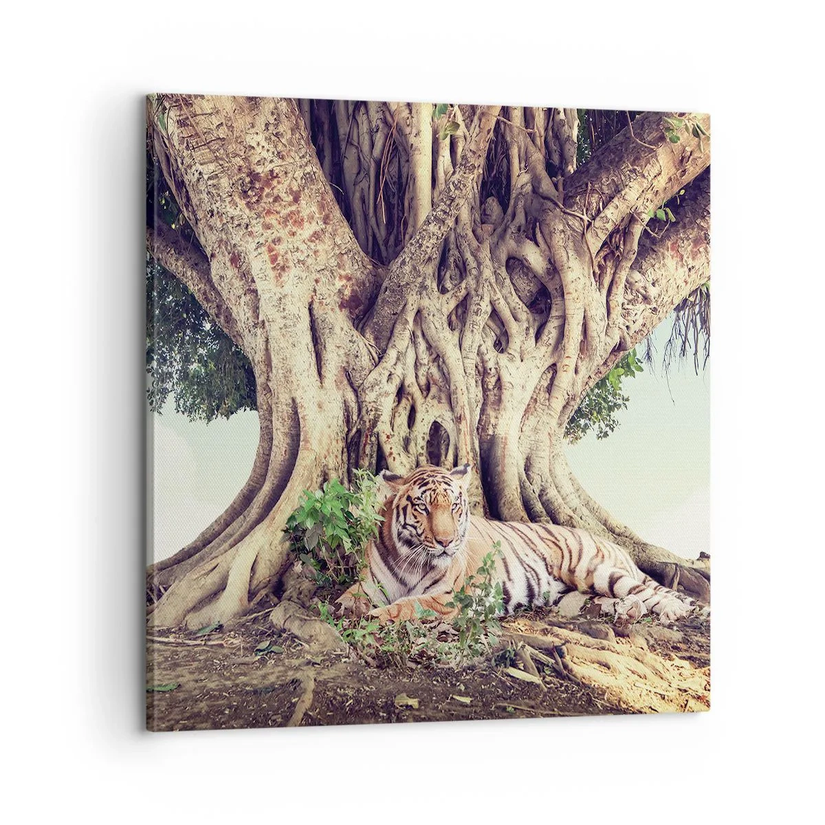 Cuadro sobre lienzo - Impresión de Imagen - Una visión desde el Génesis - 60x60 cm