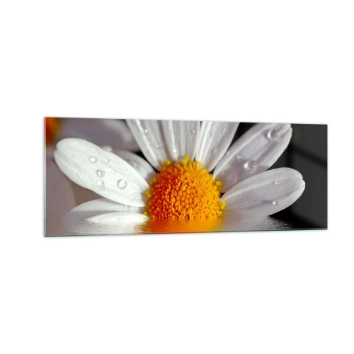 Cuadro sobre vidrio - Impresiones sobre Vidrio - Una margarita blanca con gotas de agua inmersas en un reflejo de agua. - 140x50cm - El sol naciente de una margarita - Decoración de pared moderna para salón y dormitorio ARTTOR