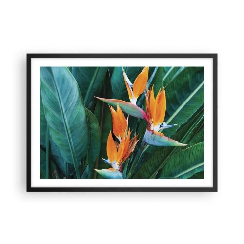 Póster en marco negro - Flores exóticas de strelitzia rodeadas de hojas verdes. - 70x50cm - ¿Es una flor o es un pájaro? - Decoración de pared moderna para salón y dormitorio ARTTOR
