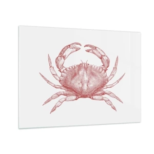 Cuadro sobre vidrio - Impresiones sobre Vidrio - Boceto de un cangrejo rojo sobre un fondo claro en estilo retro - 70x50cm - El explorador de las rocas - Decoración de pared moderna para salón y dormitorio ARTTOR
