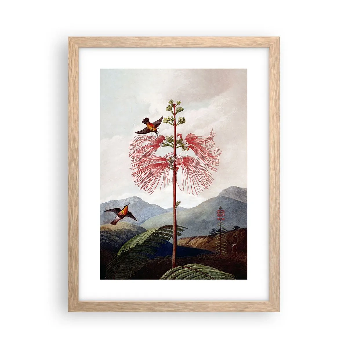 Póster en marco roble claro - En un paraíso tropical - 30x40 cm