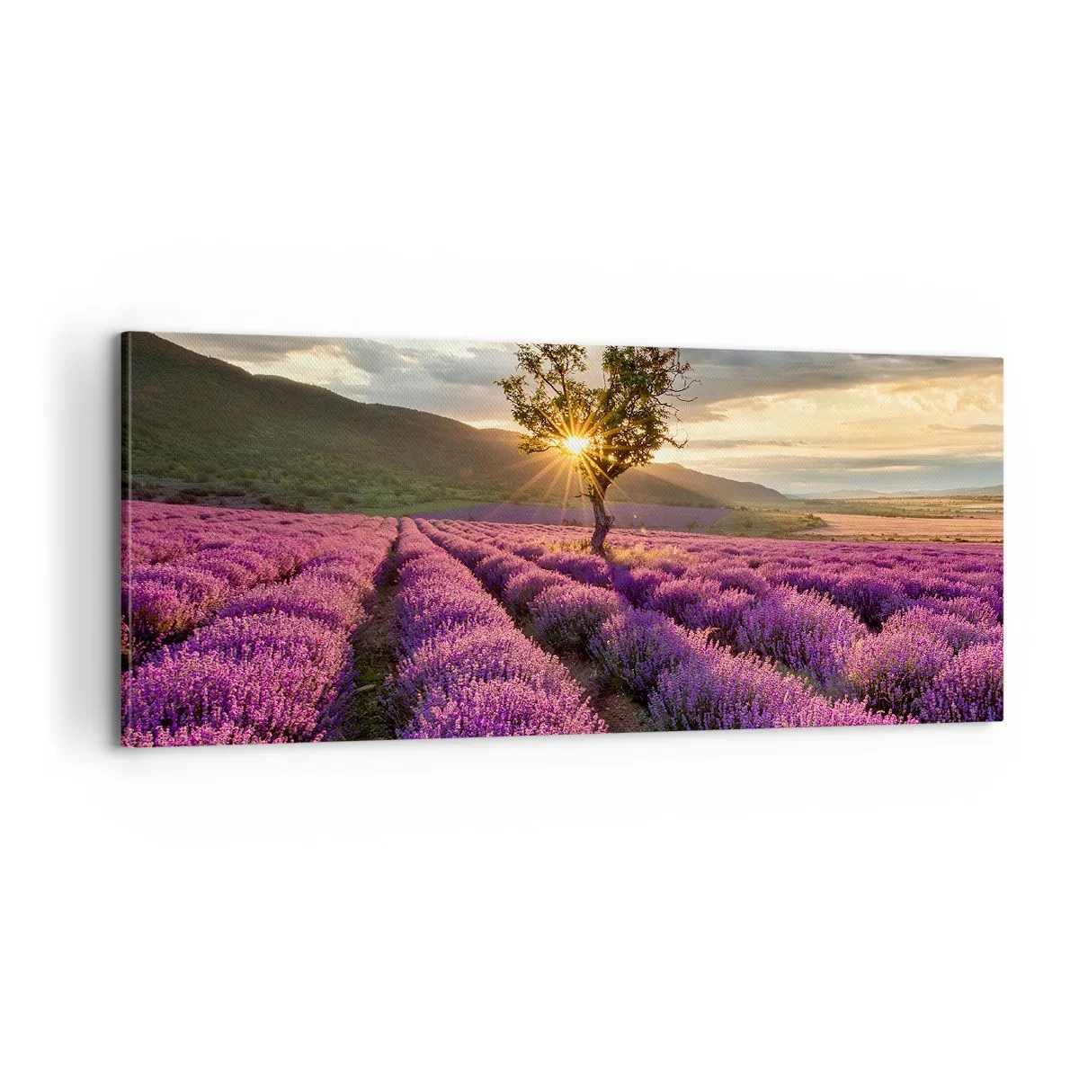 Cuadro sobre lienzo - Impresión de Imagen - Aroma en lila - 100x40 cm