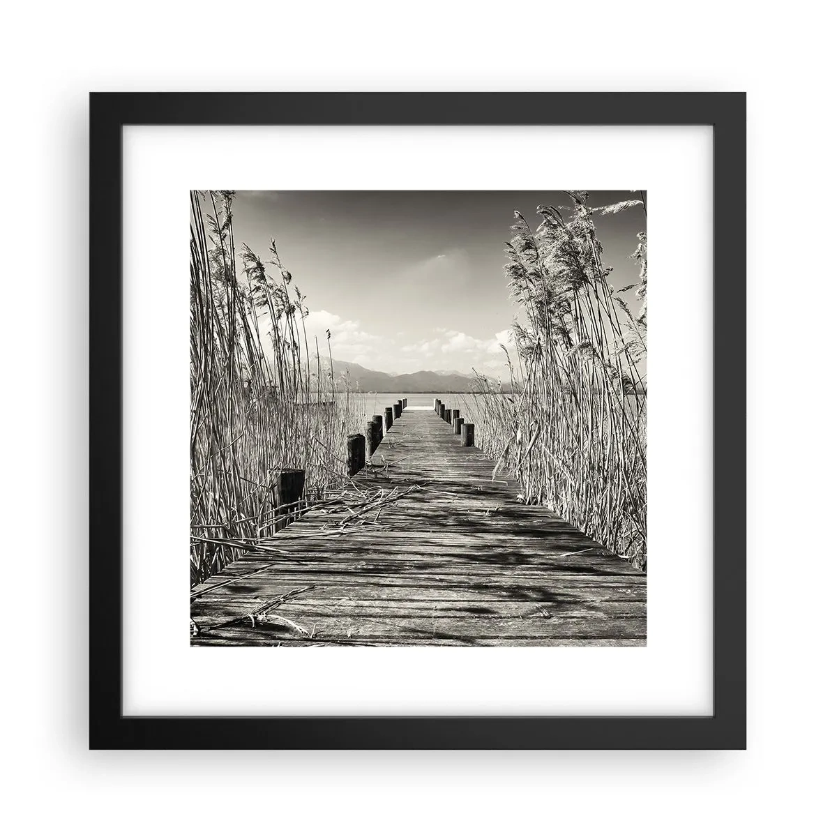 Póster en marco negro - En la quietud de los juncos - 30x30 cm