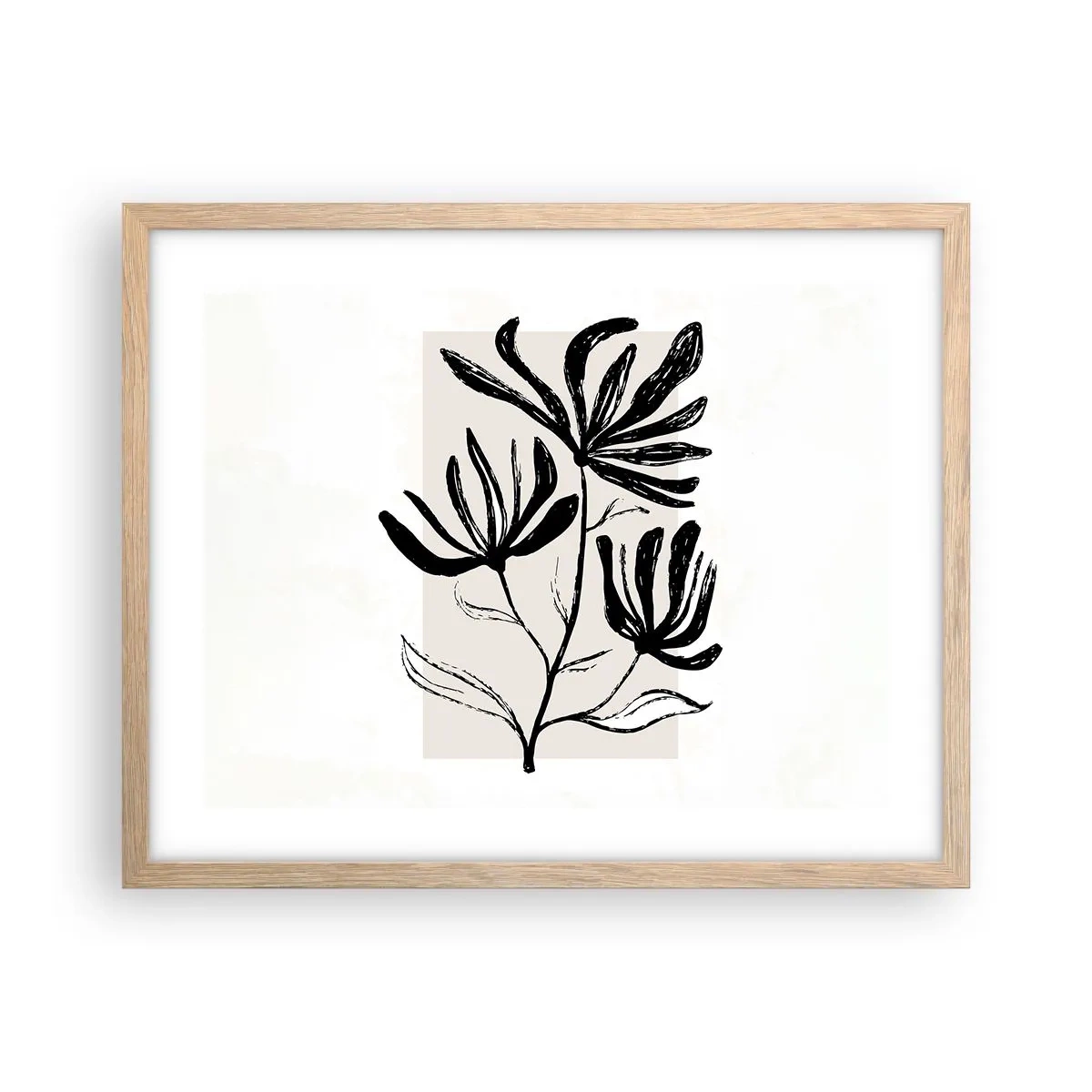 Póster en marco roble claro - Esbozo para un herbario - 50x40 cm