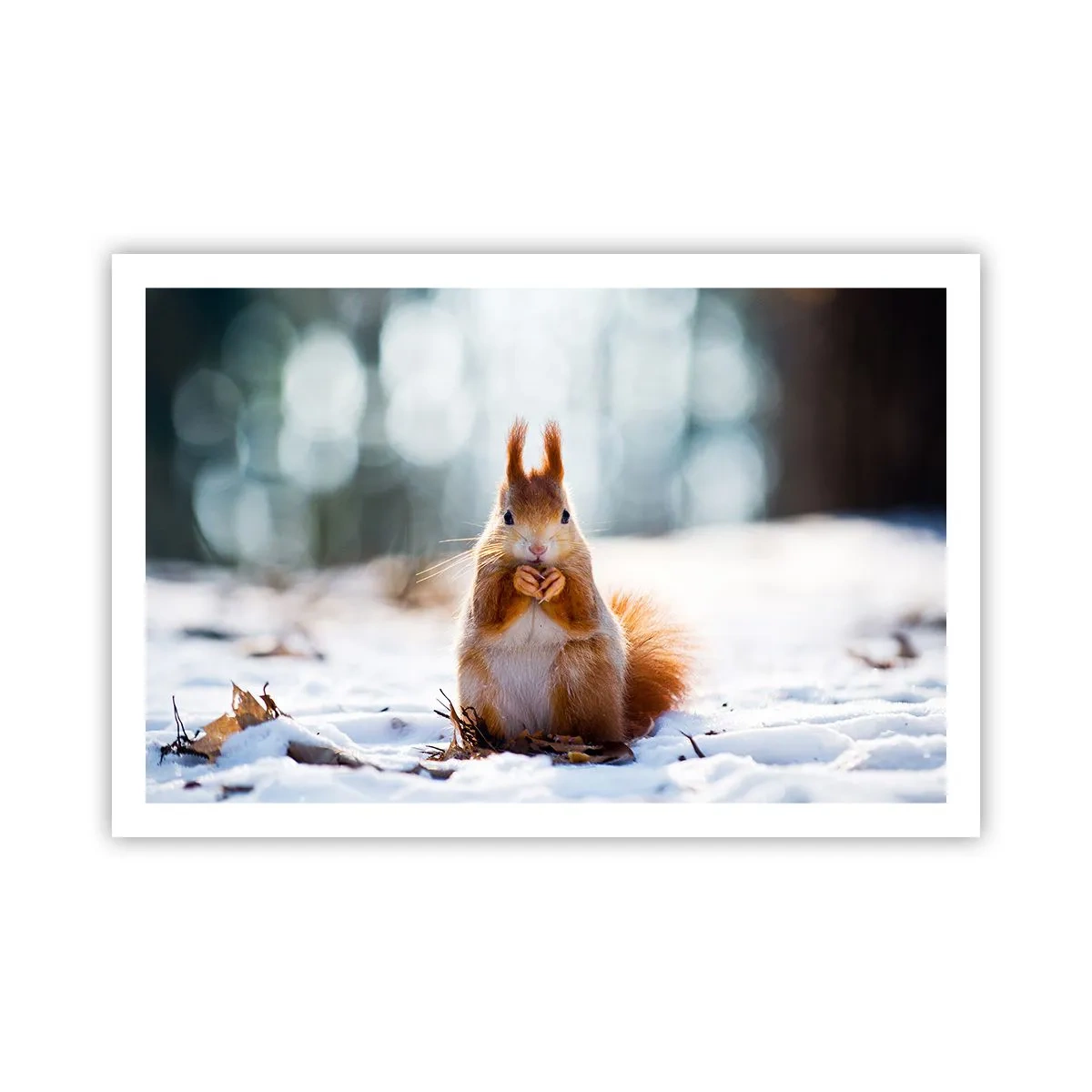 Póster - ¿Qué estás mirando? - 91x61 cm