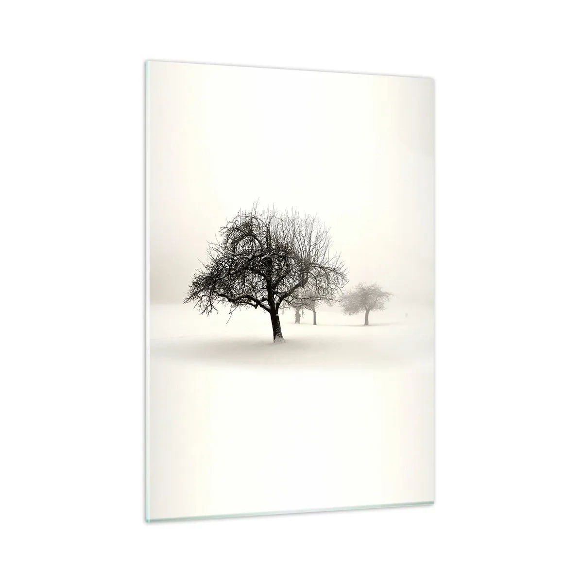 Cuadro sobre vidrio - Impresiones sobre Vidrio - Árboles en un paisaje invernal cubiertos de nieve y niebla. - 50x70cm - Sueño de invierno - Decoración de pared moderna para salón y dormitorio ARTTOR
