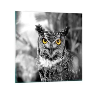 Cuadro sobre vidrio - Impresiones sobre Vidrio - Nada se puede ocultar - 40x40 cm