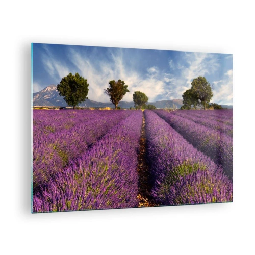 Cuadro sobre vidrio - Impresiones sobre Vidrio - Un campo de lavanda con árboles y un fondo de montañas. - 70x50cm - Campos de lavanda - Decoración de pared moderna para salón y dormitorio ARTTOR