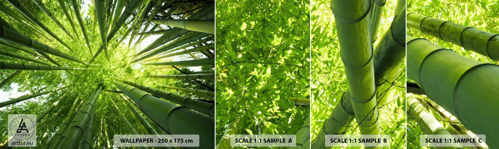 Muestra de fotomural autoadhesivo Deluxe Sticker - En un bosquecillo de bambú - Bosque de bambú, Selva, Bambú - 100x30 cm