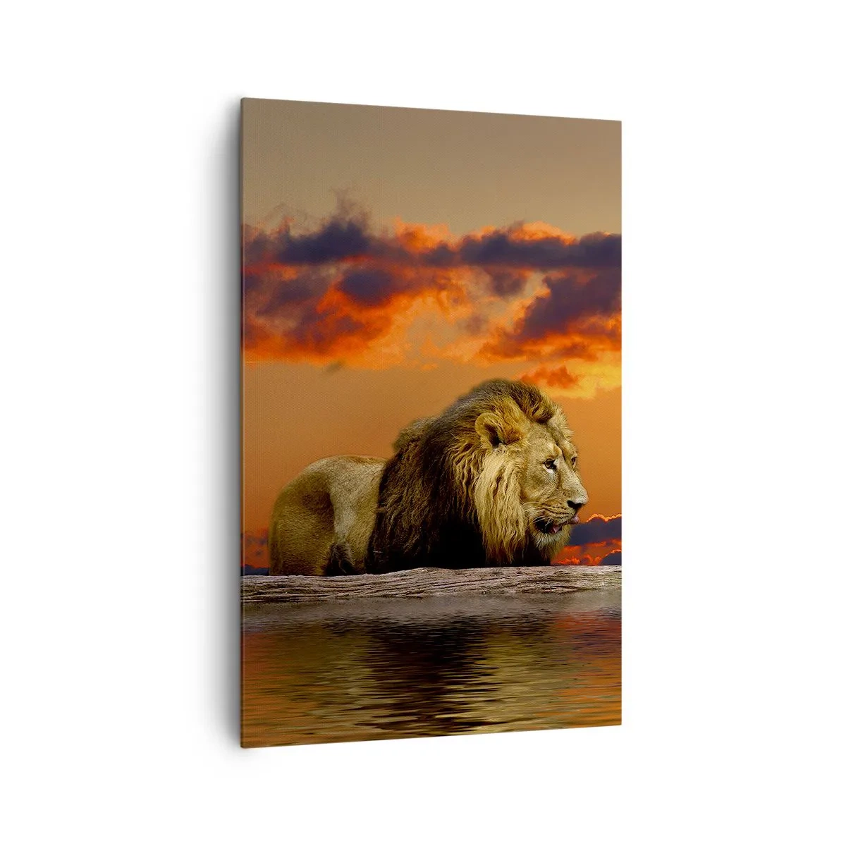 Cuadro sobre lienzo - Impresión de Imagen - Un león descansa junto al agua al atardecer con un cielo dramático. - 80x120cm - Rey de la naturaleza - Decoración de pared moderna para salón y dormitorio ARTTOR