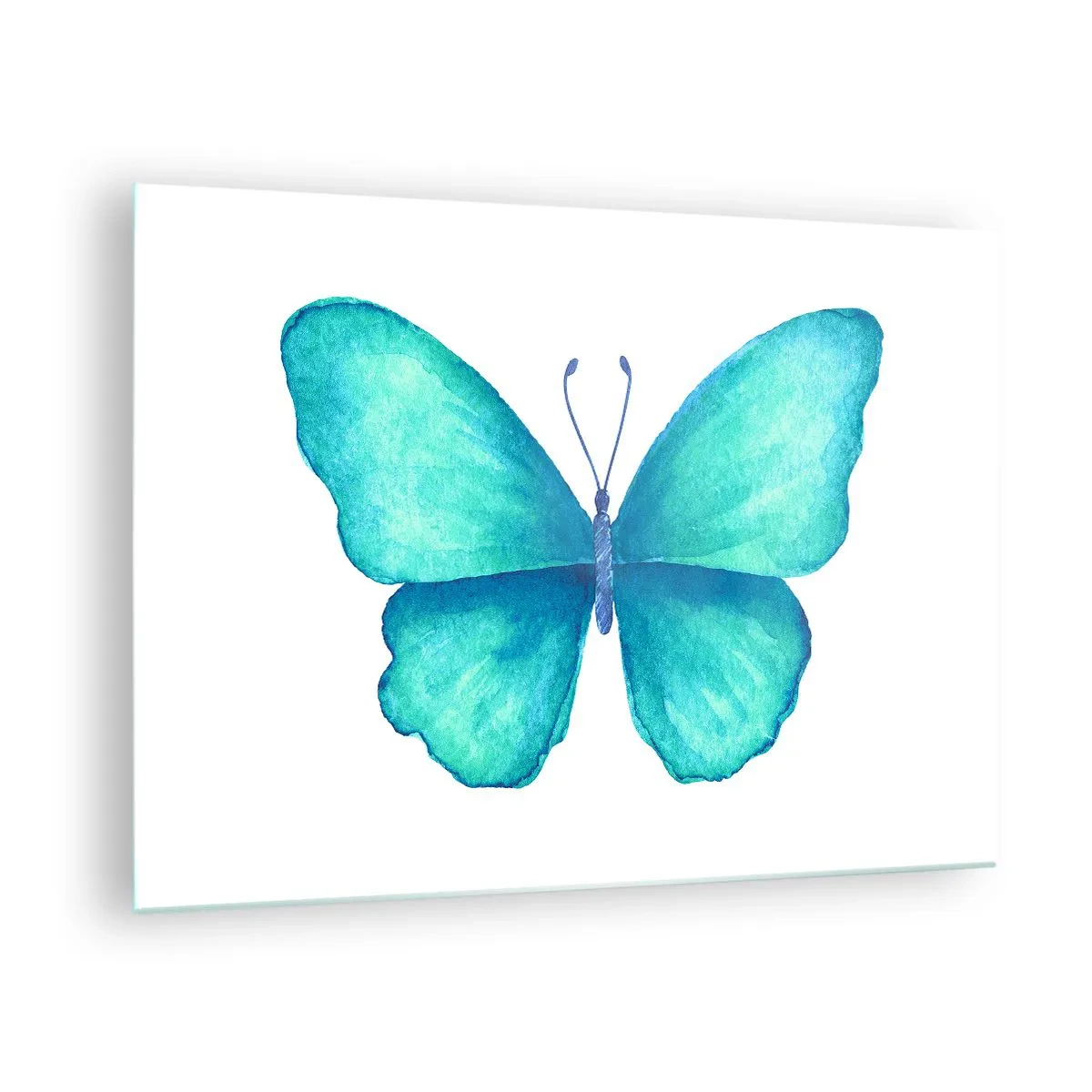 Cuadro sobre vidrio - Impresiones sobre Vidrio - Mariposa azul en estilo acuarela sobre fondo blanco - 70x50cm - Turquesa por naturaleza - Decoración de pared moderna para salón y dormitorio ARTTOR