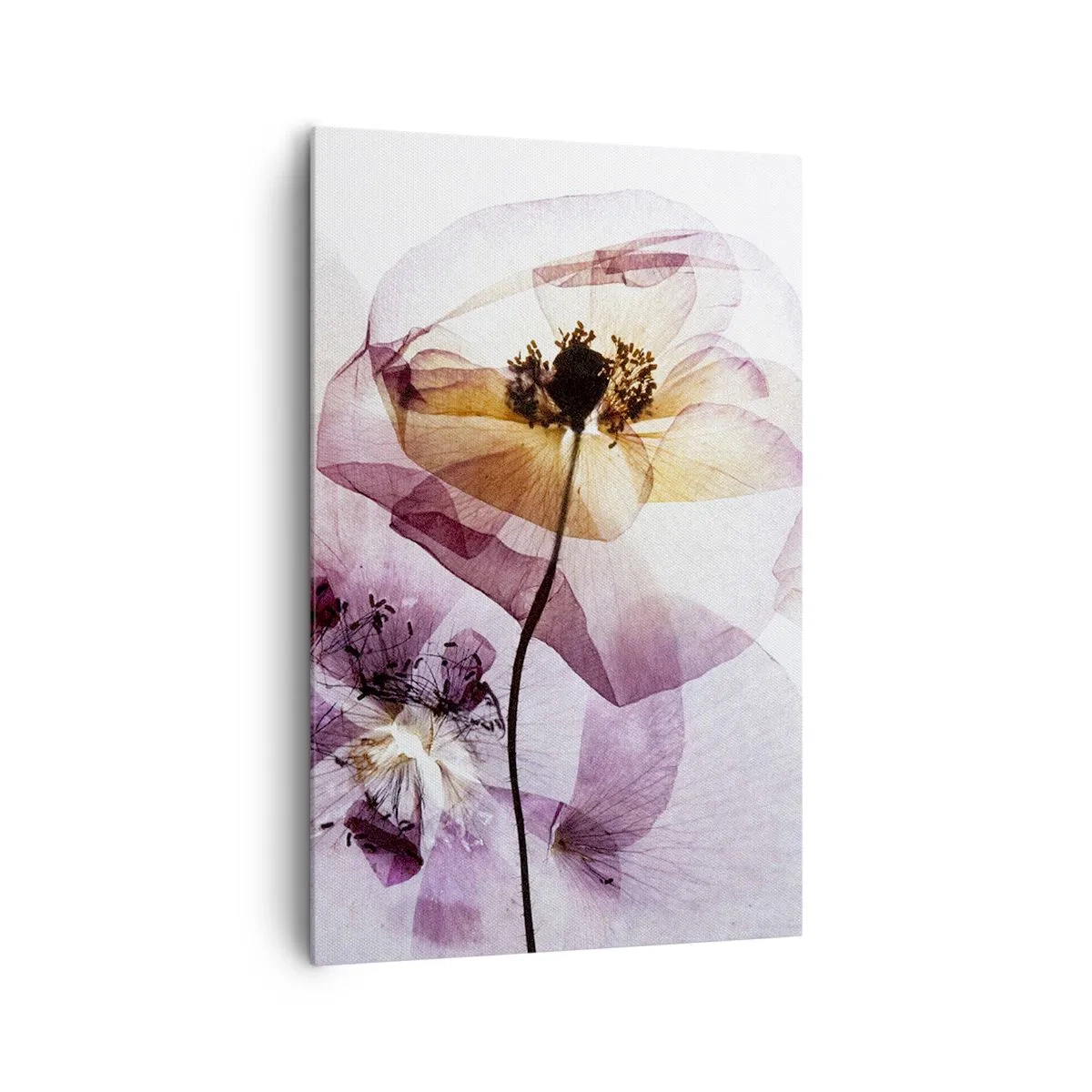 Cuadro sobre lienzo - Impresión de Imagen - Delicadas flores transparentes en tonos pastel. - 80x120cm - Cuerpo de flor - Decoración de pared moderna para salón y dormitorio ARTTOR